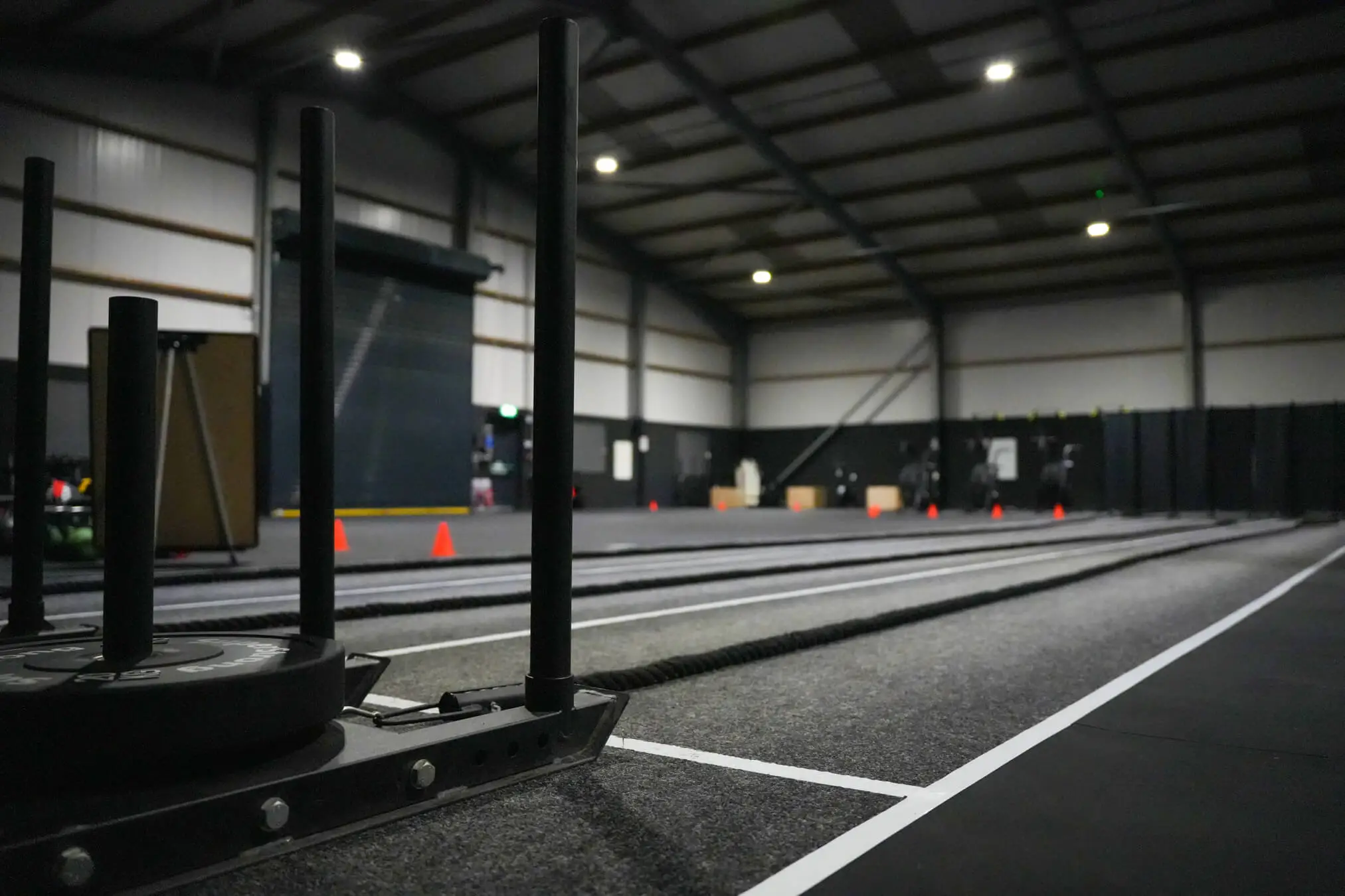 dsfitness